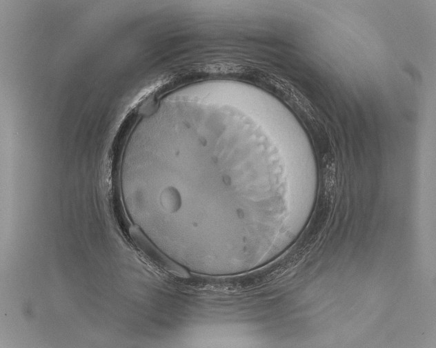 X0000115170727200911181405