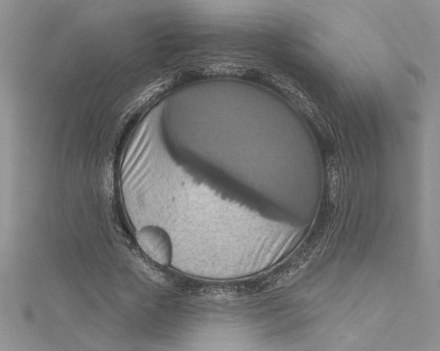 X0000115170729200911181405