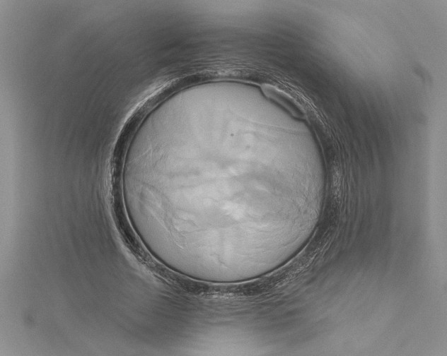 X0000115170730200911181405