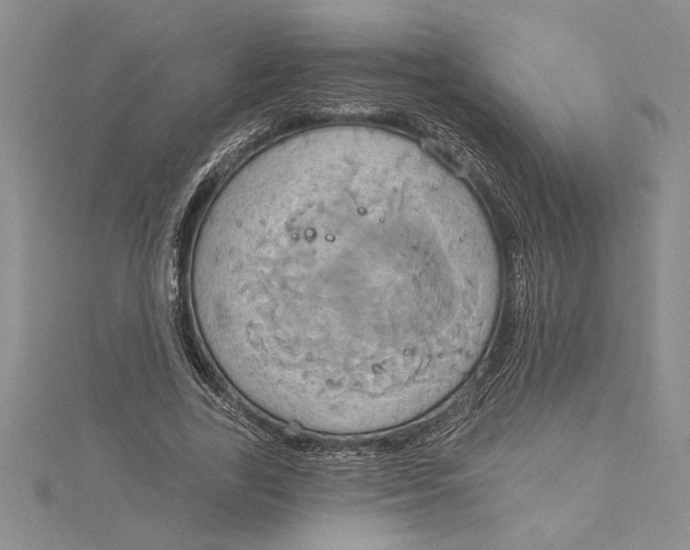 X0000115170731200911181405