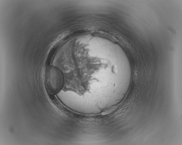 X0000115170734200911181405