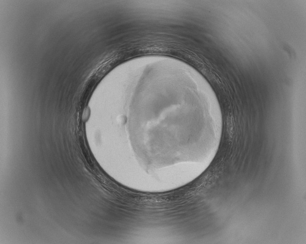 X0000115170735200911181405