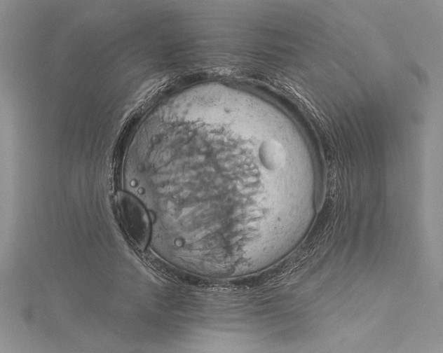 X0000115170738200911181405