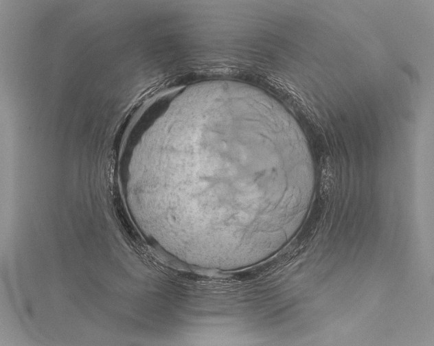 X0000115170739200911181405