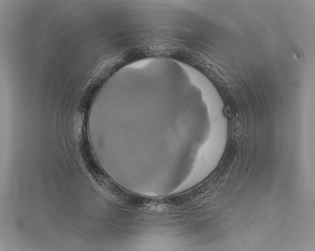 X0000115170742200911181405