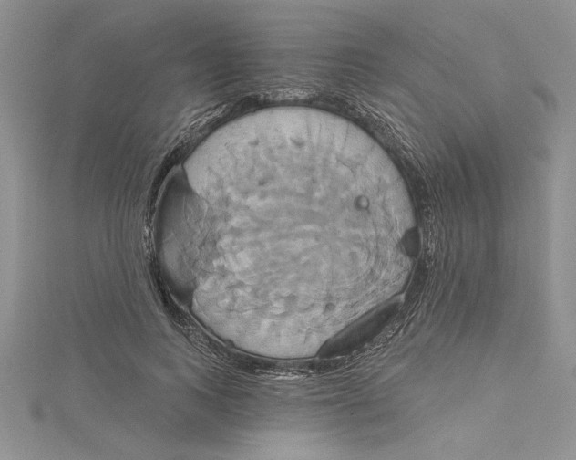 X0000115170743200911181405