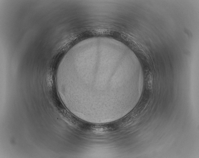 X0000115170746200911181405