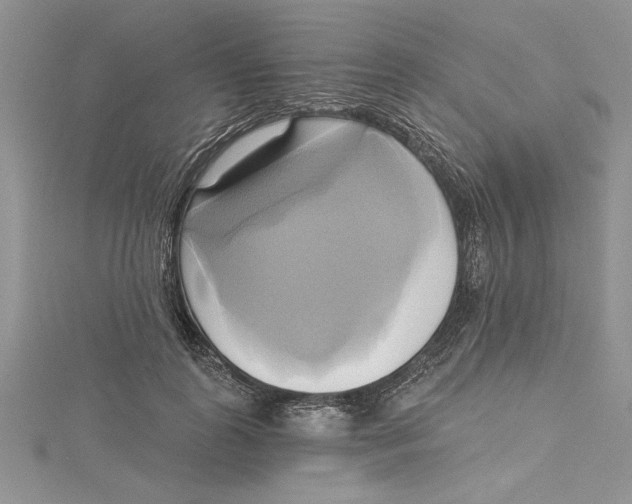 X0000115170747200911181405