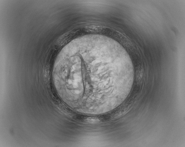 X0000115170749200911181405