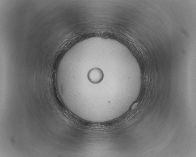 X0000115170750200911181405