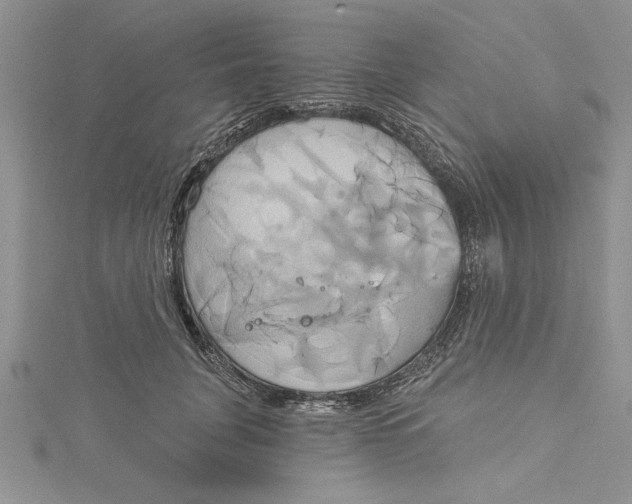 X0000115170751200911181405