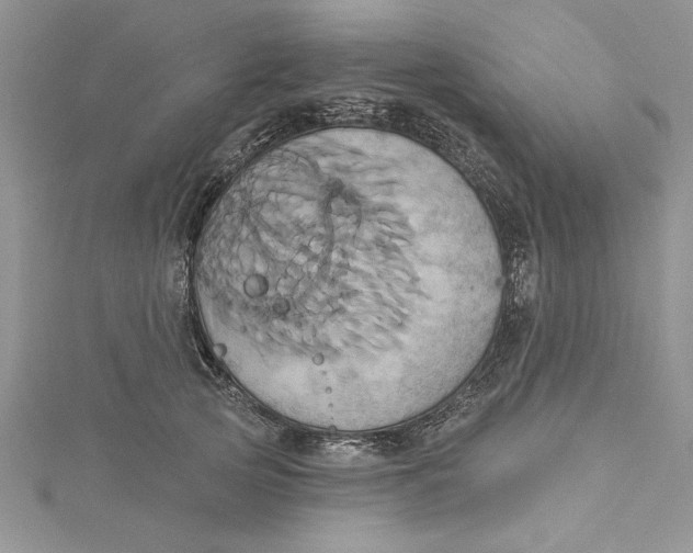 X0000115170753200911181405