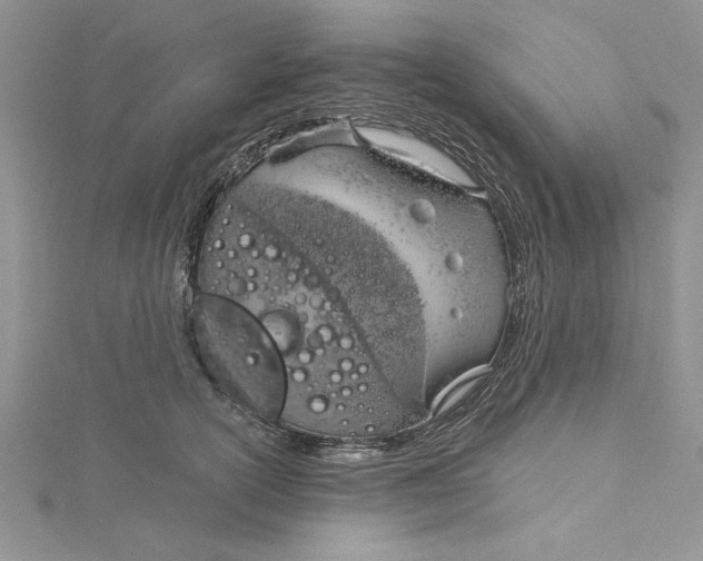 X0000115170754200911181405