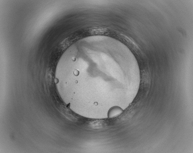 X0000115170761200911181405