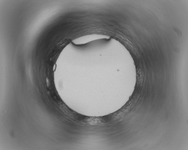 X0000115170762200911181405