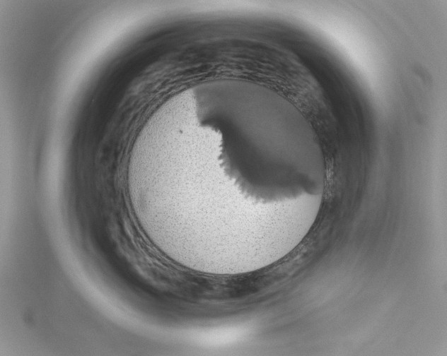 X0000115170765200911181405