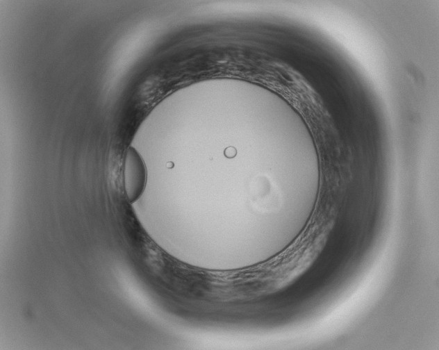 X0000115170766200911181405