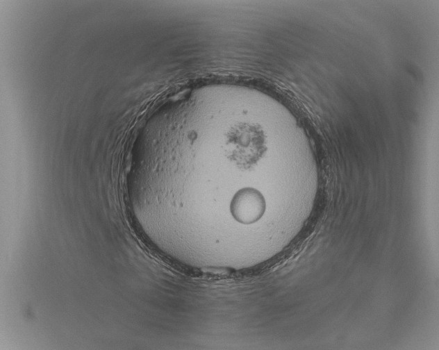 X0000115170769200911181405