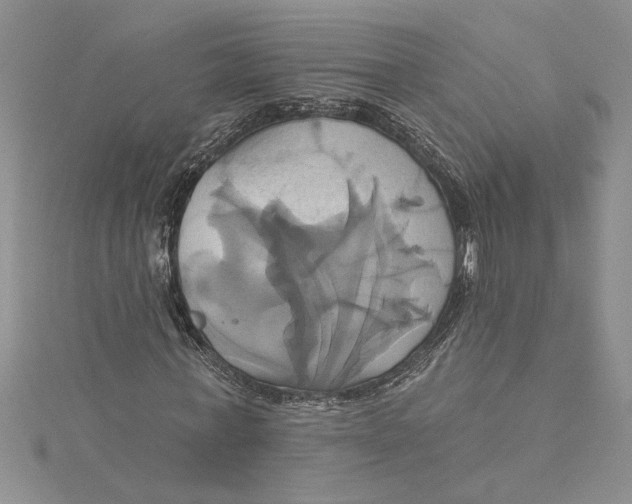 X0000115170771200911181405