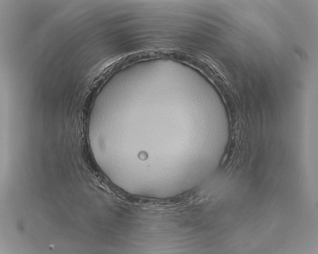 X0000115170773200911181405