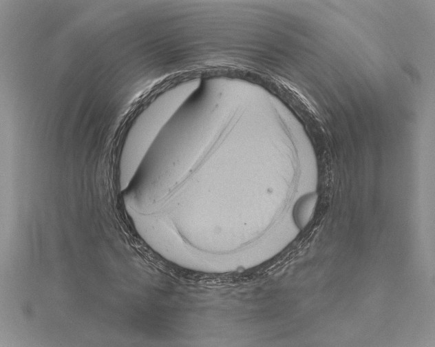 X0000115170776200911181405