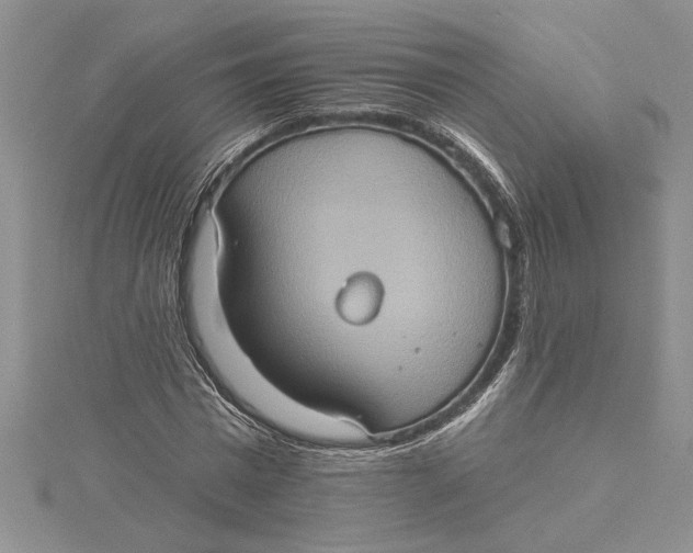 X0000115170777200911181405