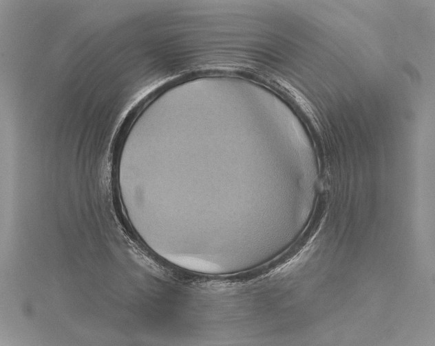 X0000115170779200911181405