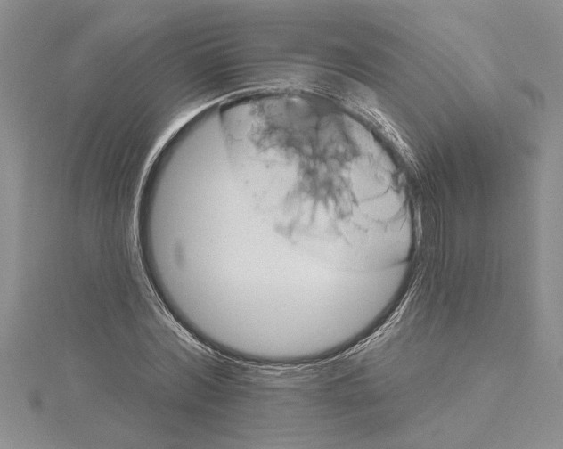 X0000115170780200911181405