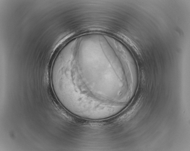 X0000115170782200911181405