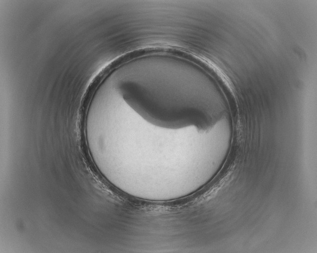 X0000115170783200911181404