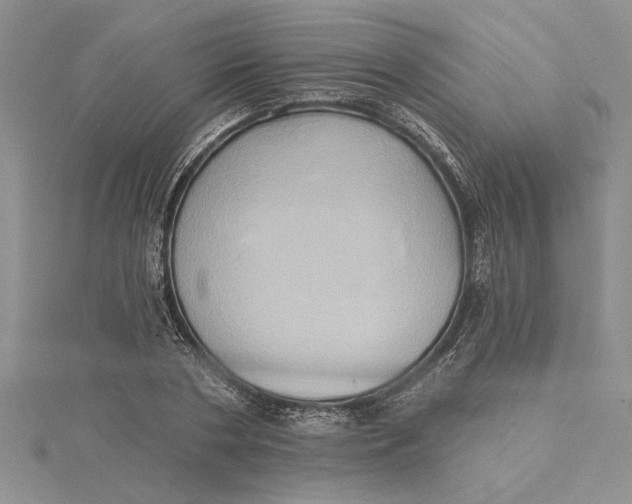 X0000115170786200911181404