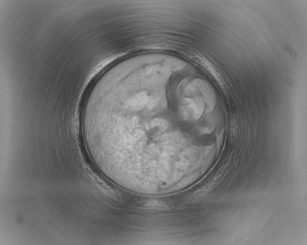 X0000115170787200911181404