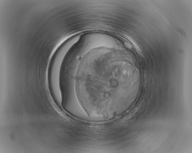 X0000115170788200911181404