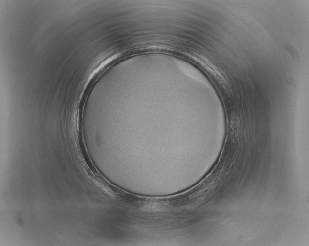 X0000115170790200911181404