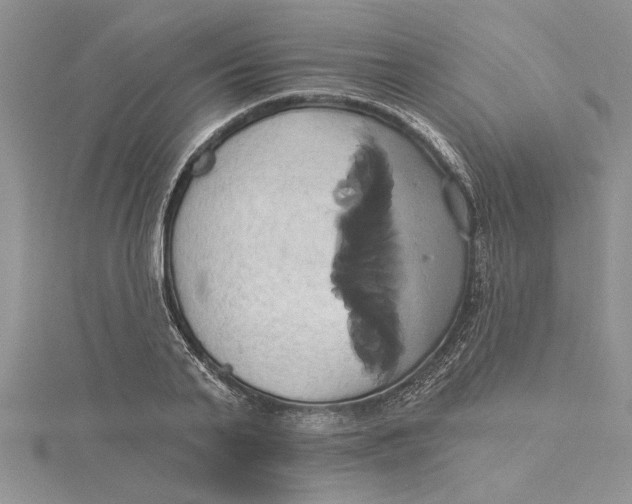 X0000115170791200911181404