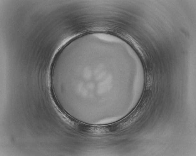 X0000115170795200911181404