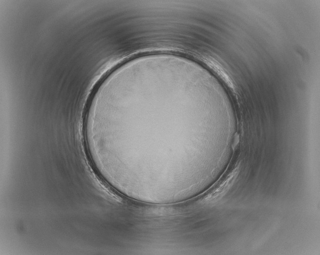 X0000115170797200911181404