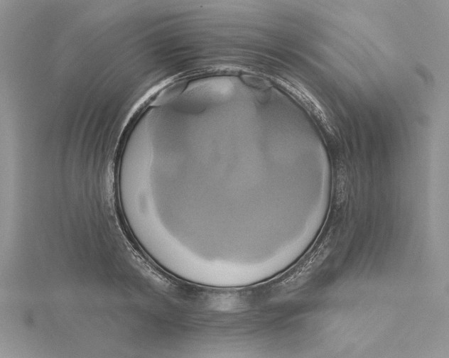 X0000115170798200911181404