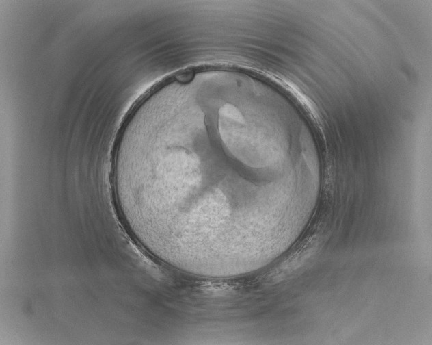 X0000115170799200911181404