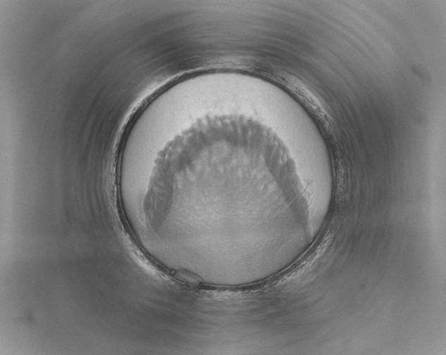 X0000115170800200911181404