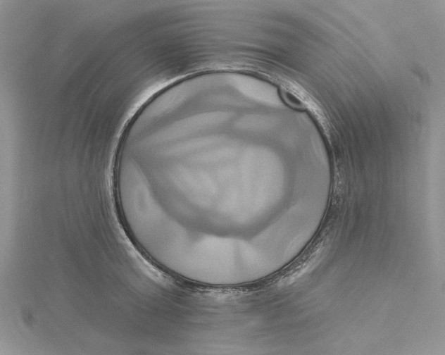 X0000115170803200911181404