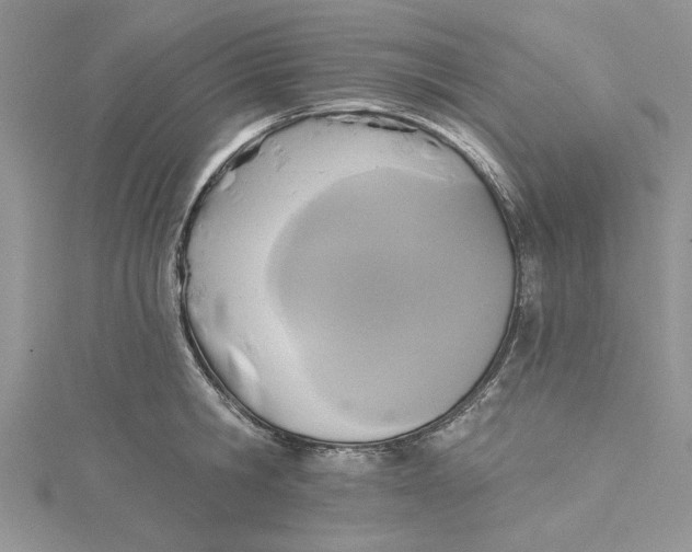 X0000115170806200911181404