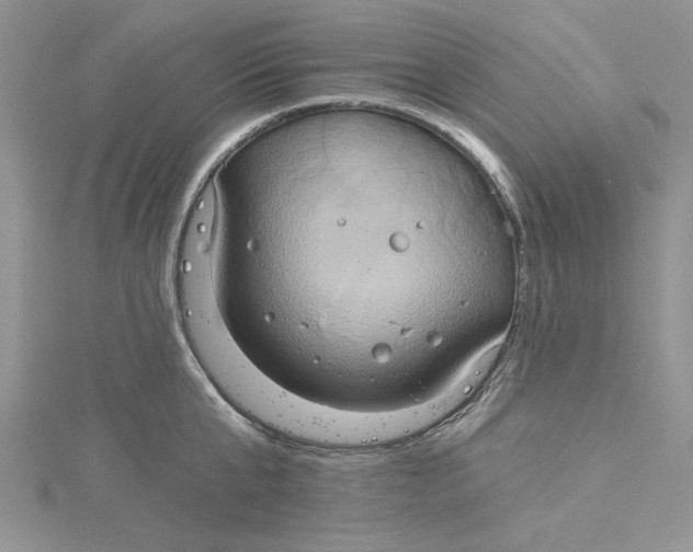 X0000115170807200911181404