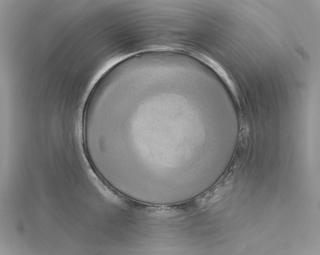X0000115170811200911181404