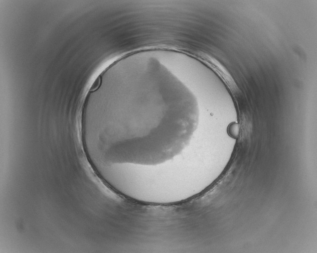 X0000115170812200911181404