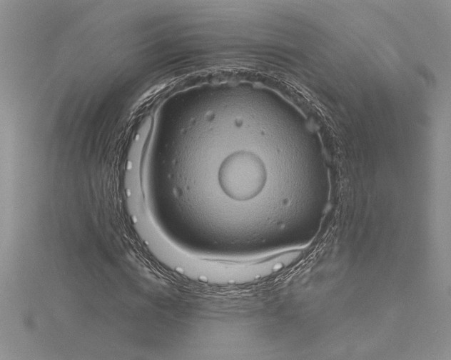X0000115170824200911181403