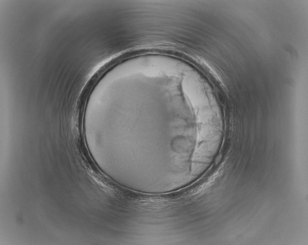 X0000115170830200911181403