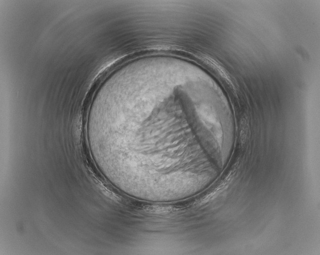X0000115170831200911181403