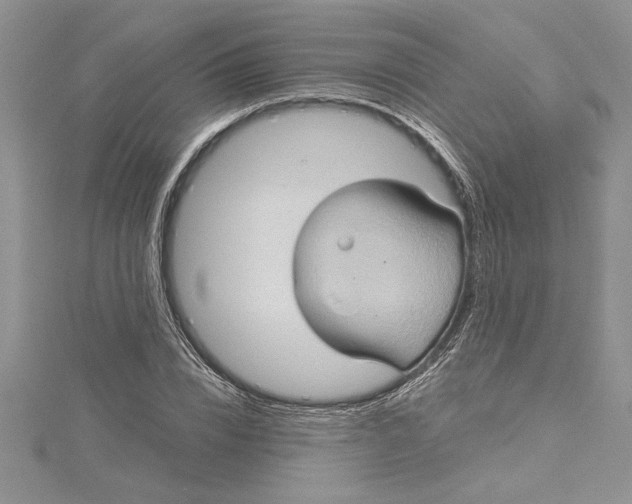 X0000115170832200911181404