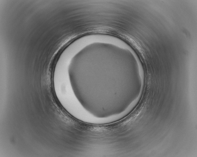 X0000115170835200911181404